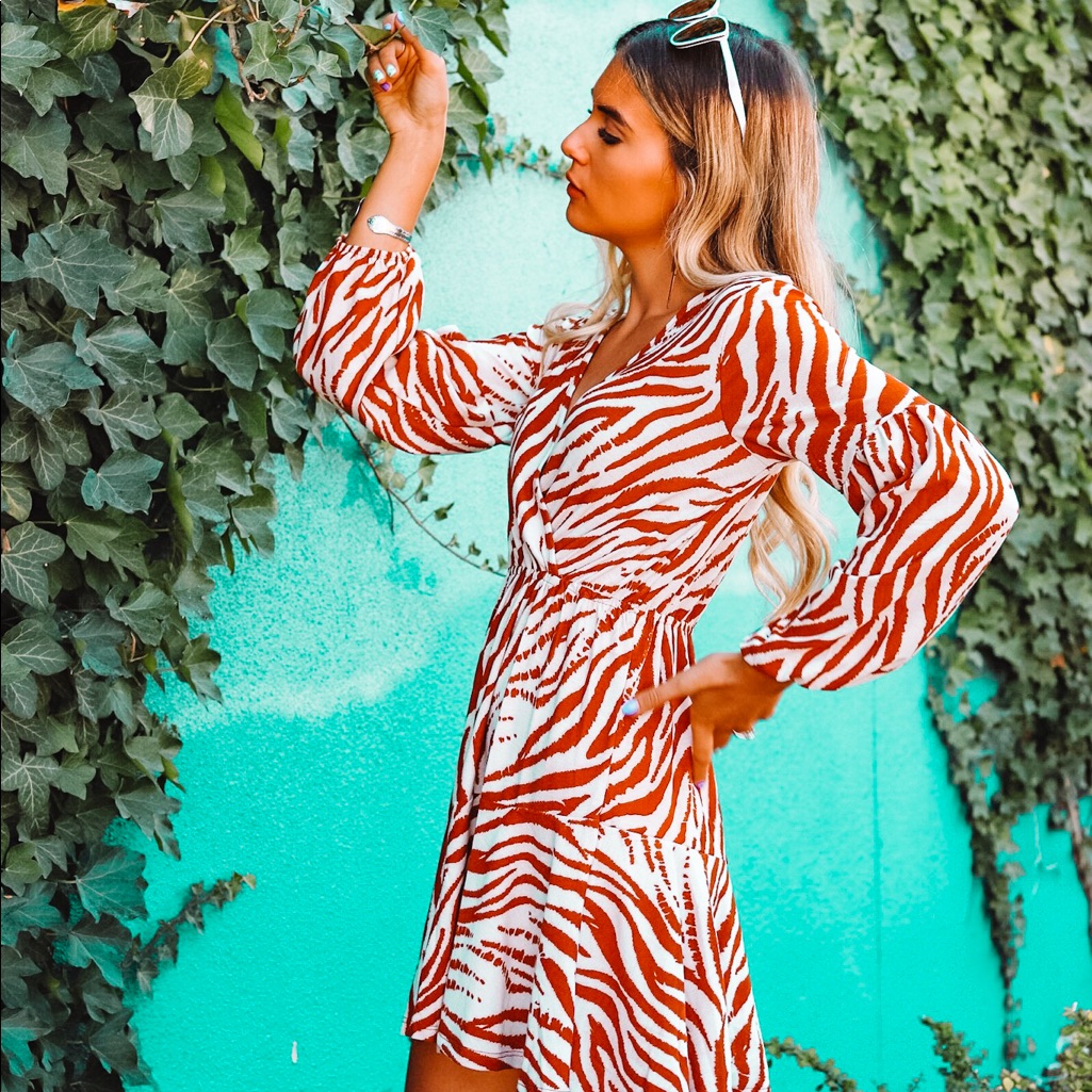 Zebra Print Wrap Dress